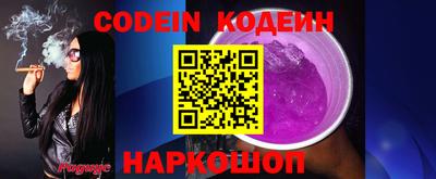 индика Заводоуковск