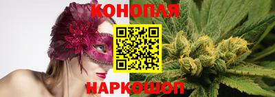 индика Заводоуковск