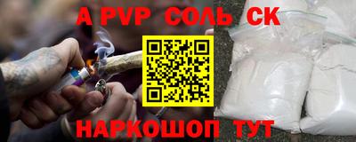 индика Заводоуковск