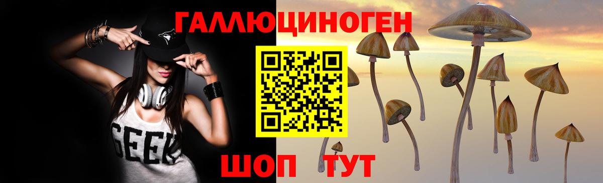 Галлюциногенные грибы Magic Shrooms Гудермес